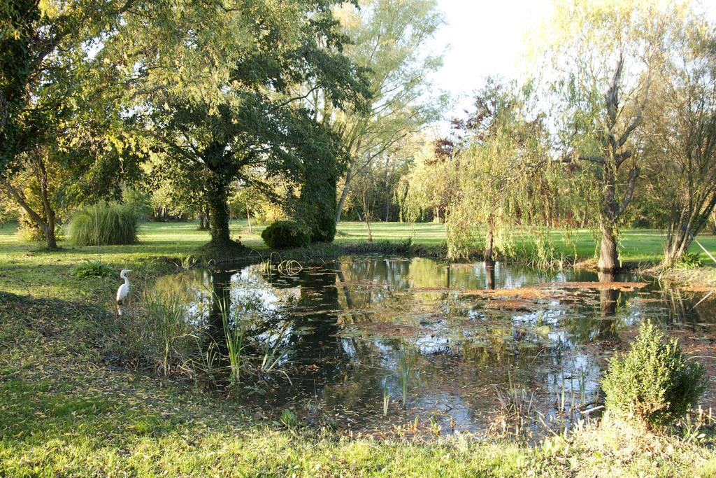 Domaine des Petits Cancets * LʼIsle-sur-la-Sorgue