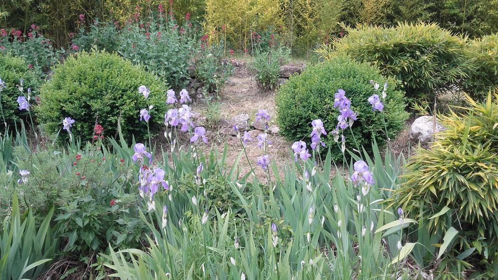 Domaine des Petits Cancets Hébergement de vacances LʼIsle-sur-la-Sorgue