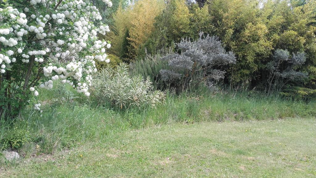 Domaine des Petits Cancets *