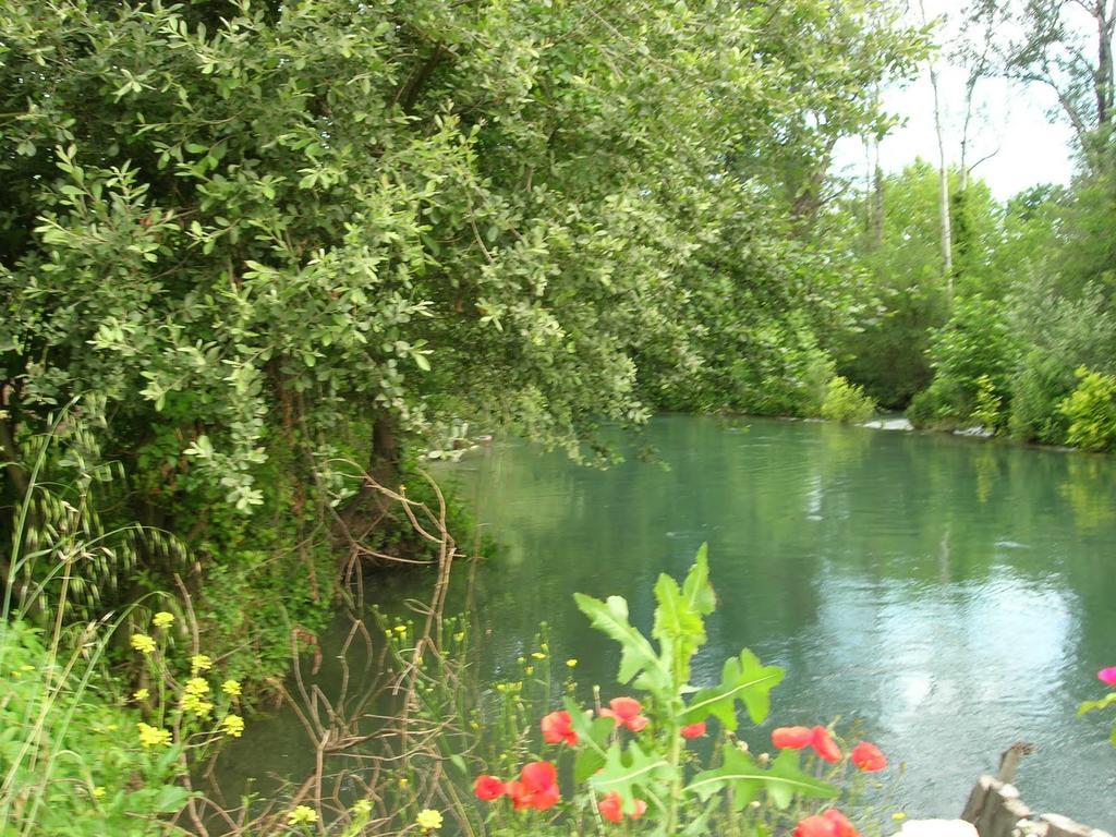 Domaine des Petits Cancets Hébergement de vacances *