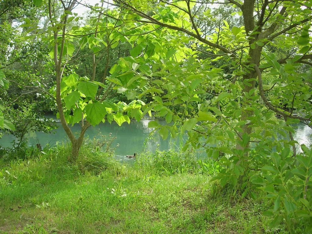 Domaine des Petits Cancets * LʼIsle-sur-la-Sorgue